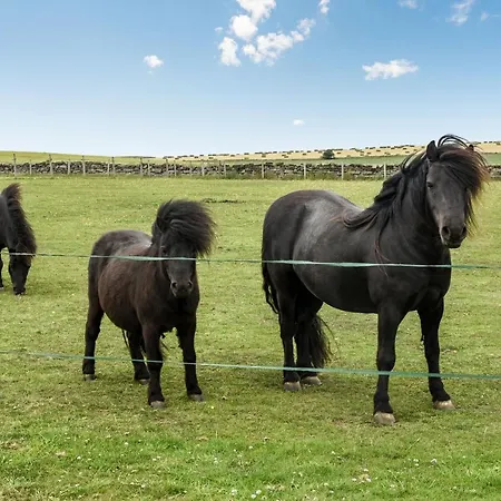 Street House Farm * 솔트번바이더씨