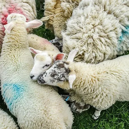 펜션 Street House Farm 솔트번바이더씨