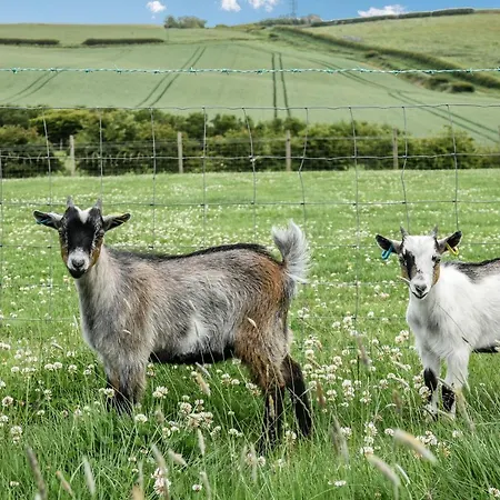 Street House Farm بيت للعطل