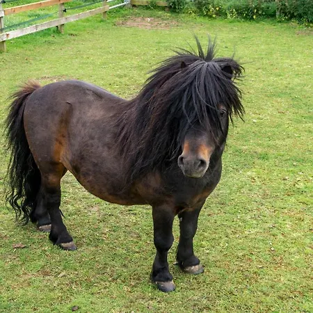 Street House Farm سولتبرن باي ذا سي